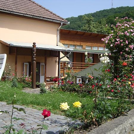 Apartament Casa Katona Sovata Zewnętrze zdjęcie